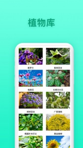 养花大全软件直装版图3