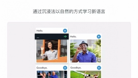 罗塞塔石碑(Rosetta Stone)直装版图3