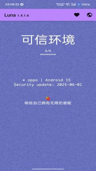 Luna环境检测工具图3