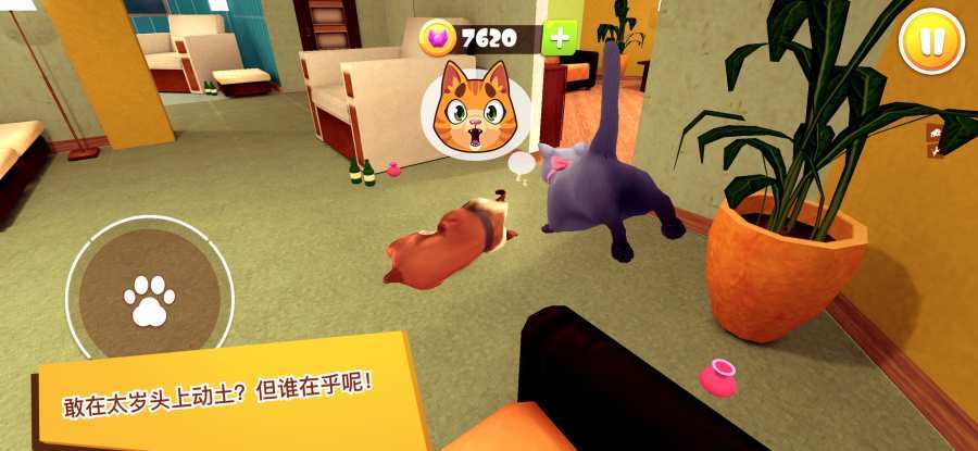 猫咪模拟器3D安卓直装版图1
