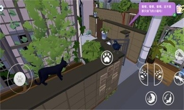 大城小猫游戏正版图3