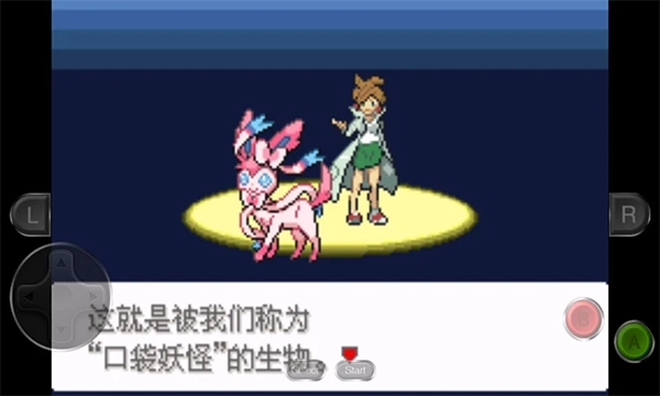 口袋妖怪永恒之沫通用版图1