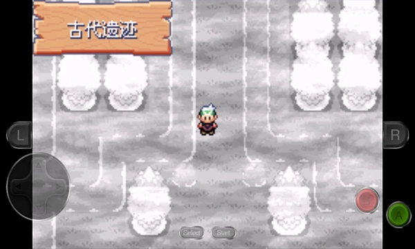 口袋妖怪永恒之沫通用版图3