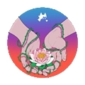犹记繁花本免费版