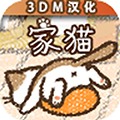 家猫原版