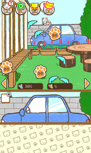 家猫原版图2