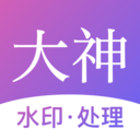 大神水印直装版