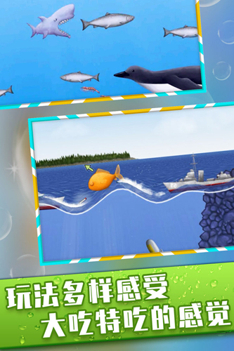 美味星球鲨鱼版图2