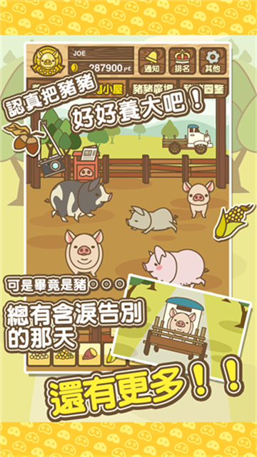 养猪场MIX手游版图2