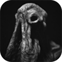 SARCOPH手机版