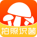 菌窝子官方版