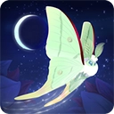 彩翼之星夜游戏无广告版