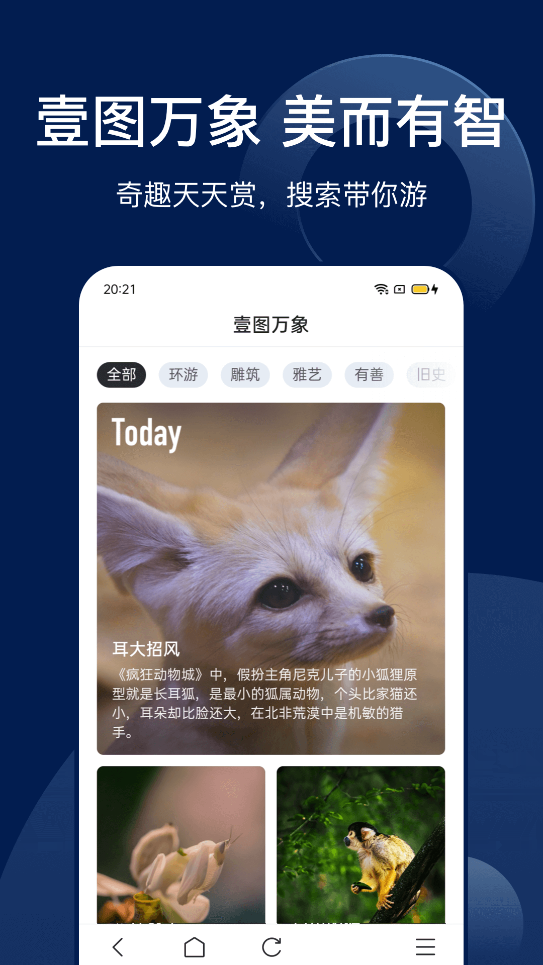 Bingo安卓免费版图3