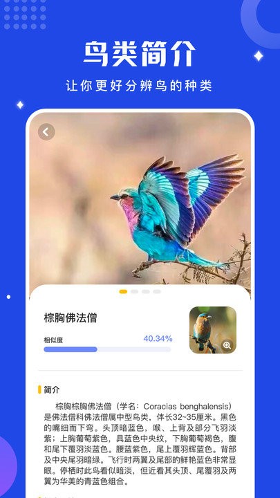 鸟语语言翻译器安卓版图3