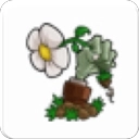 植物大战僵尸胆小菇之梦直装版