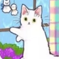 筑梦之旅正版