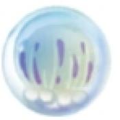 合成大水母官方最新版