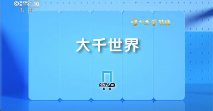 小鸟电视最新版图3