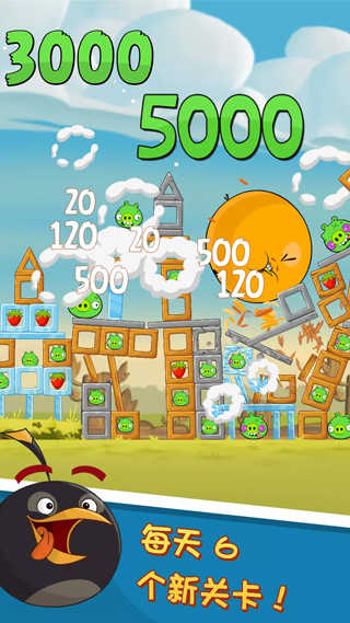 angry bird图1