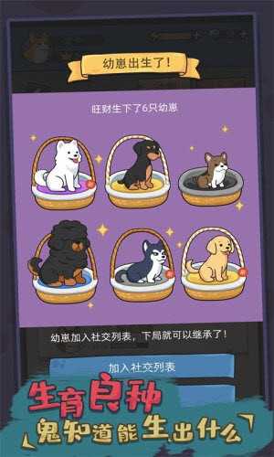 你好狗好喜欢图3