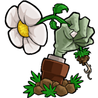 植物大战僵尸联机版