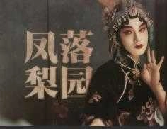 鬓边性转凤落梨园手游版