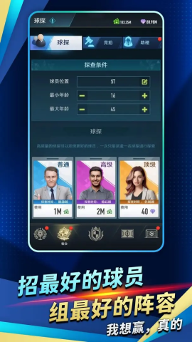 绿茵巅峰之路图2
