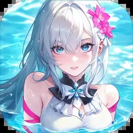 命运圣契正版