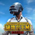 绝地求生国际服版