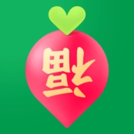 叮咚买菜手机免费版