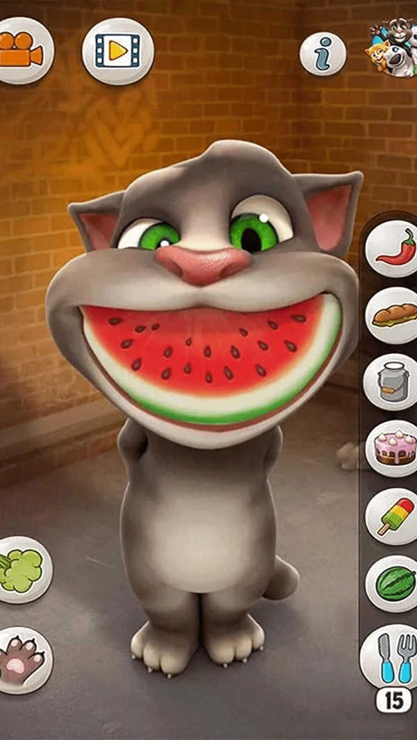 会说话的汤姆猫原版图2