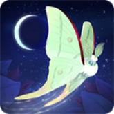 彩翼之星夜安卓直装版