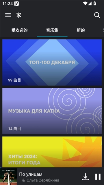国际音乐软件图3