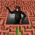 3D迷宫大挑战手游直装版