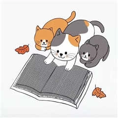 三只猫看书表白图表情包