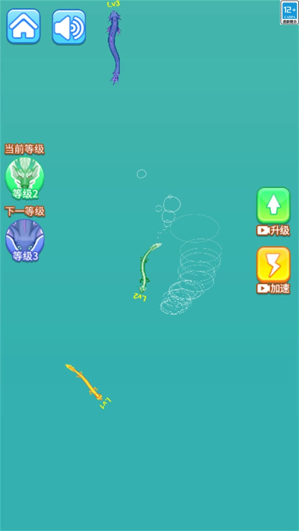 超级神龙进化游戏绿色版图2