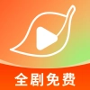 红叶免费短剧免费