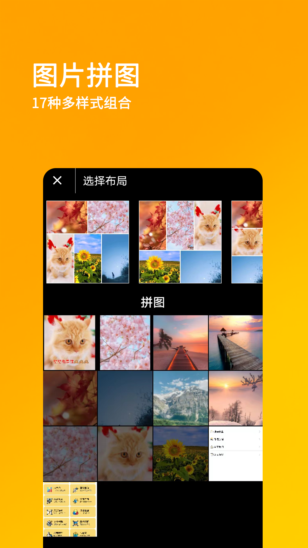 刷兔圈2026最新版图2