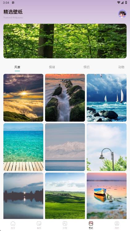 金银花相机原版图3