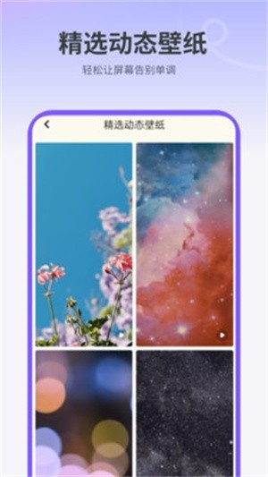天天屏保 1图3