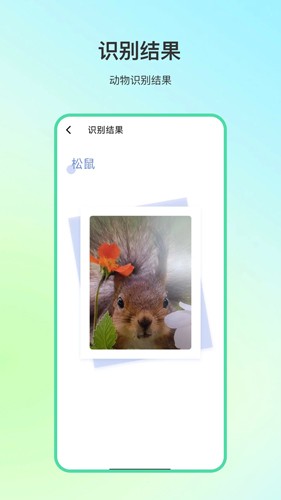 动物百科图3