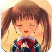 阳光下的真实电脑版