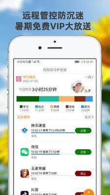 向阳花守护图3