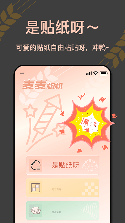 麦麦相机中文版图3