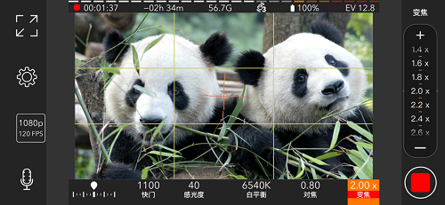 promovie软件图2