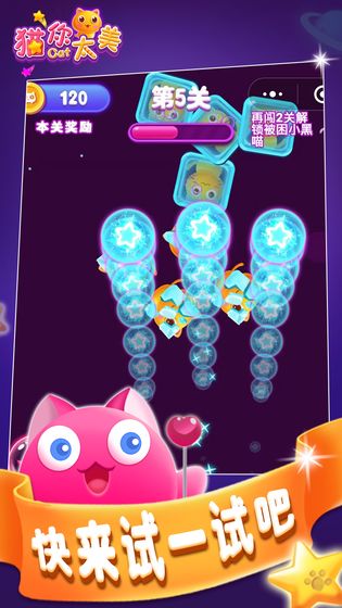 猫你太美图2