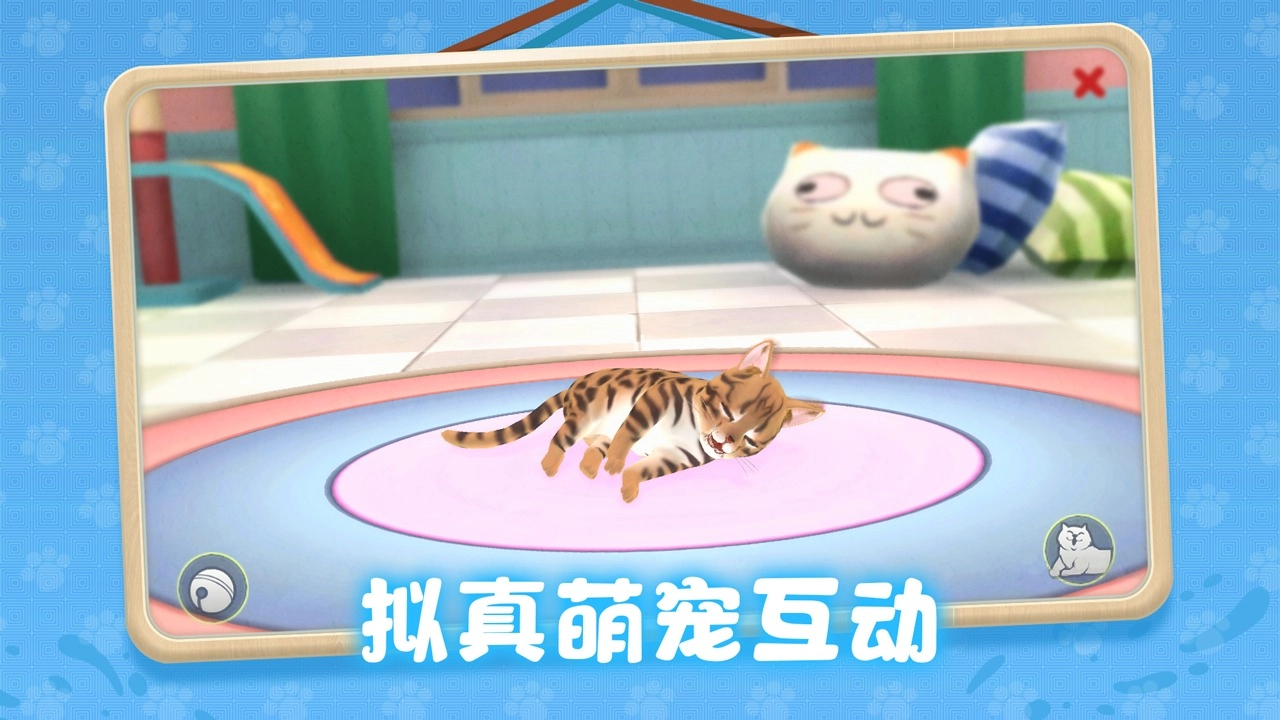 养了个猫2026手机免费版图1