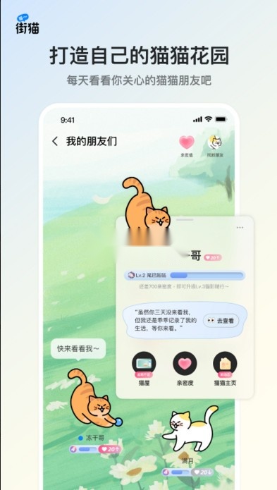 街猫免费原版图3