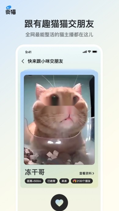 街猫免费原版图2
