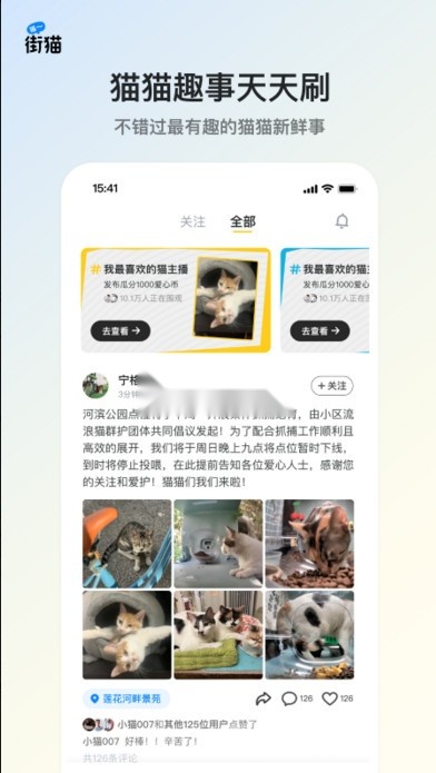 街猫免费原版图5